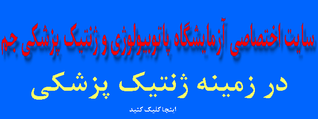 website seo by RSDev.ir