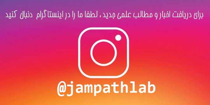 website seo by RSDev.ir