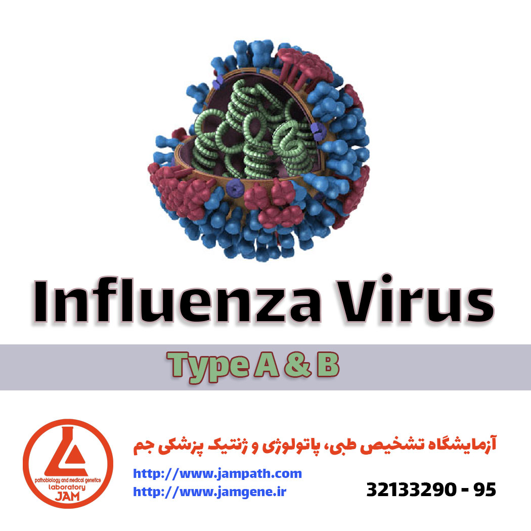 ویروس آنفلوانزا