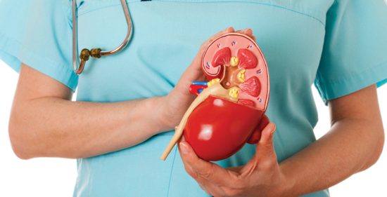 آزمایشگاه پاتولوژی رشت,آزمایشگاه پاتوبیولوژی رشت,آزمایشگاه تشخیص پزشکی رشت,آزمایشگاه ژنتیک رشت,آزمایشگاه تشخیص طبی رشت,آزمایشگاه رشت آزمایش٬ آزمایشگاه٬ آزمایشگاه جم٬ آزمایشگاه جم رشت٬ آزمایشگاه رشت٬ آزمایشگاه گیلان٬