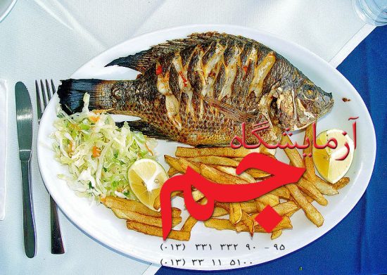 مصرف ماهی عاملی طلایی برای مقابله با ام اس