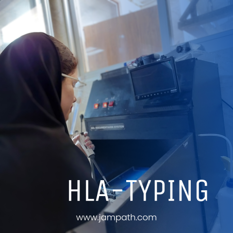 HLA-Typing